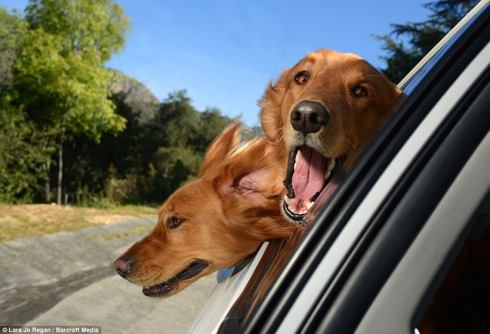 Календарь 2014: ветер в морду