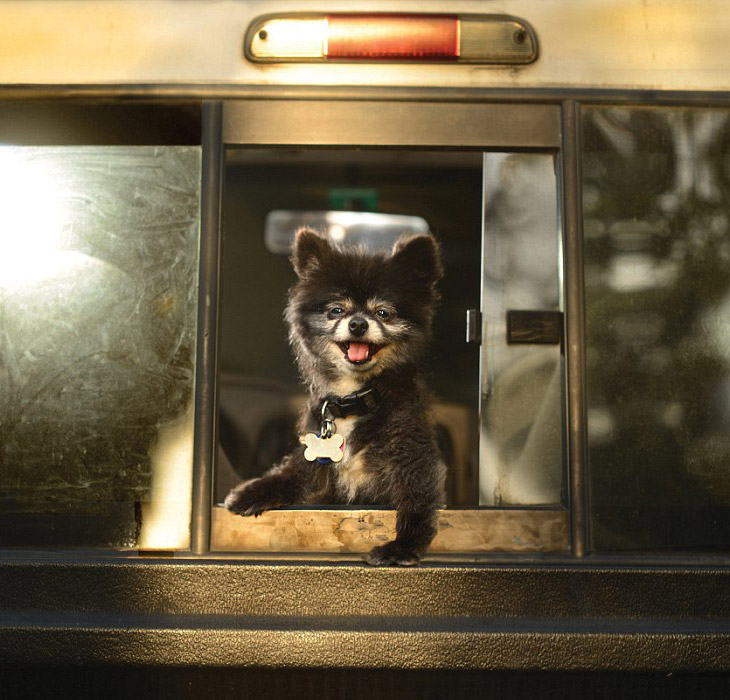 Календарь 2014: ветер в морду