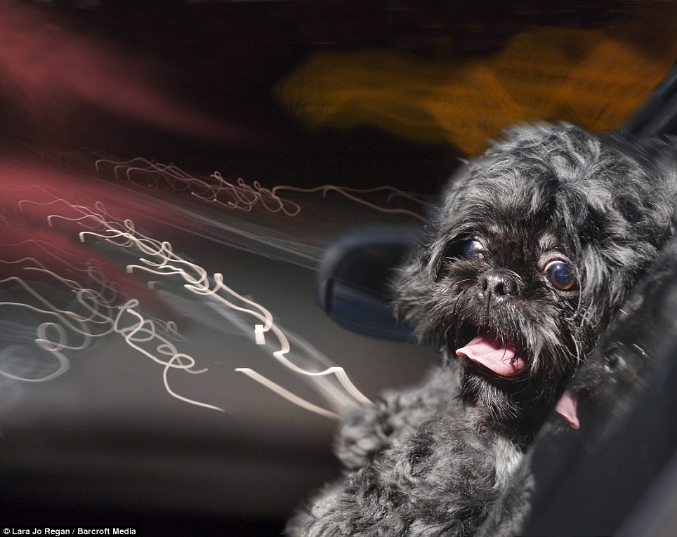 Календарь 2014: ветер в морду