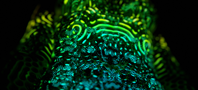 Люди меняющие текстуру кожи на видео Kouhei Nakama