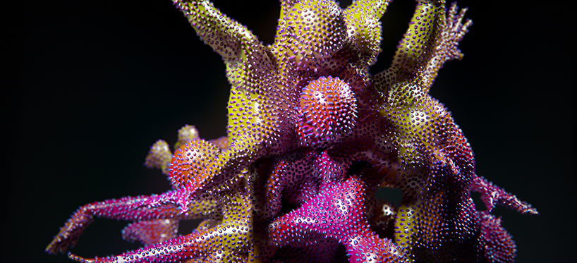 Люди меняющие текстуру кожи на видео Kouhei Nakama