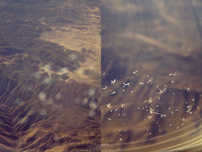 Порция картинок