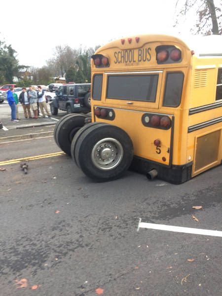 Порция картинок