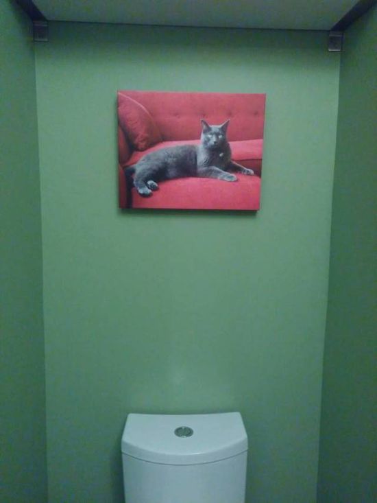 Порция картинок