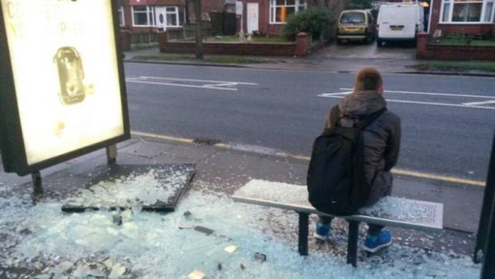 Порция картинок