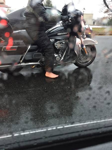 Порция картинок