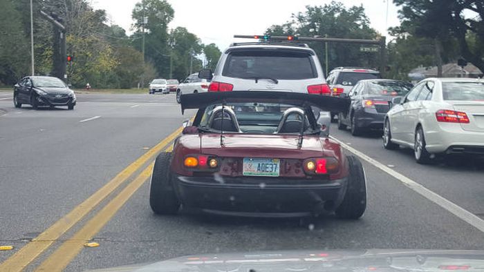 Порция картинок