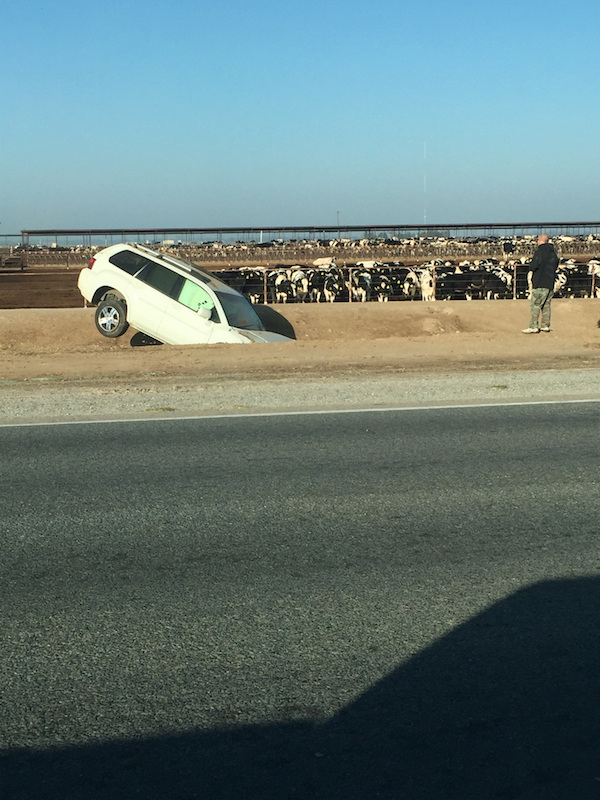 Дерьмо случается