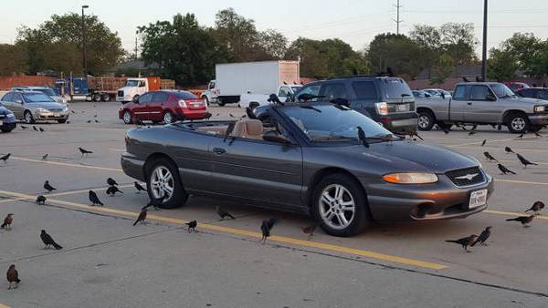 Дерьмо случается