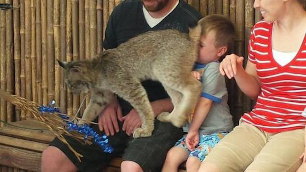 Дерьмо случается