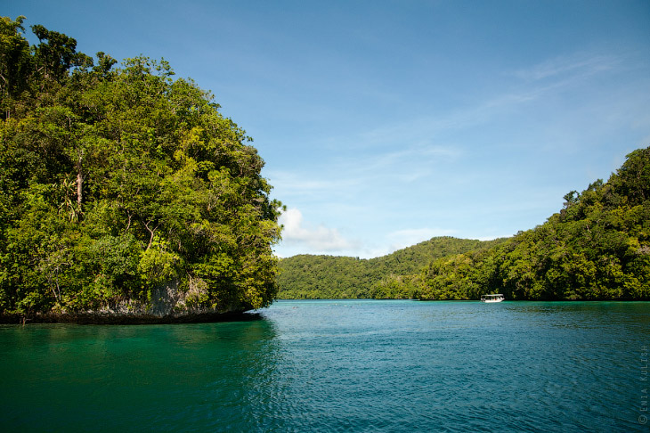 Озеро медуз