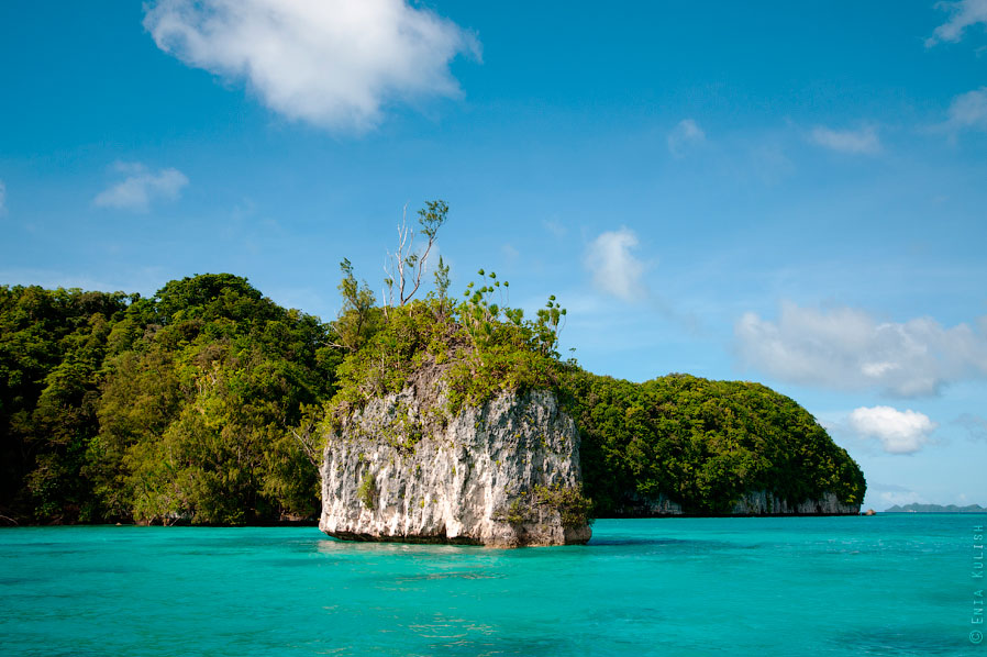 Озеро медуз