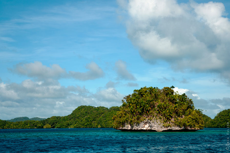 Озеро медуз