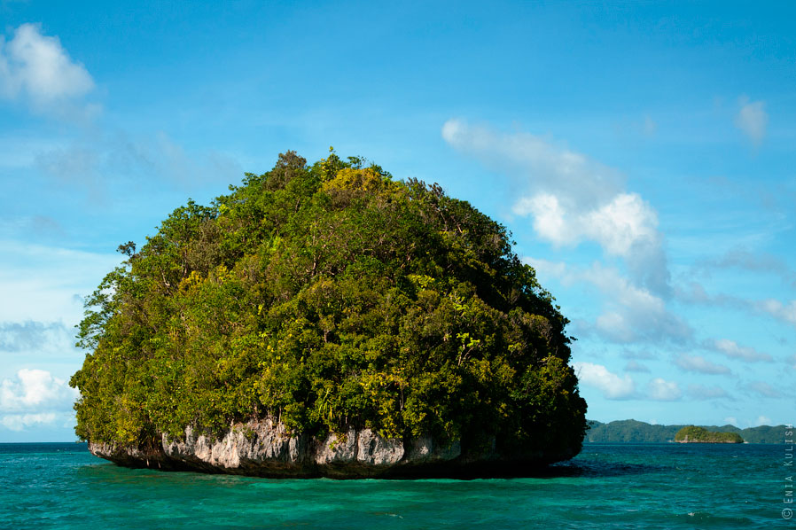 Озеро медуз