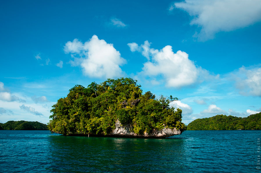 Озеро медуз