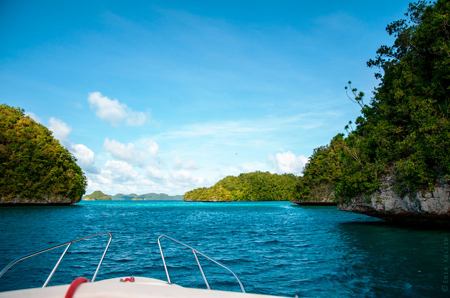 Озеро медуз