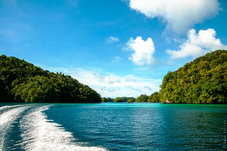 Озеро медуз