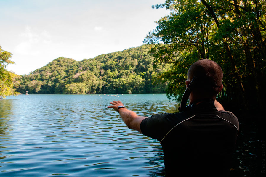 Озеро медуз