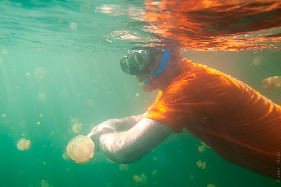 Озеро медуз