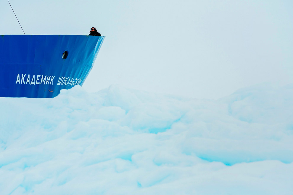 «Академик Шокальский» и спасательная операция в Антарктиде