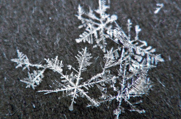 Интересные факты про снег, которые вы могли не знать