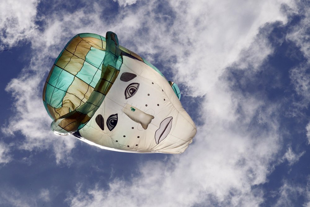 Фестиваль воздушных шаров в Колумбии