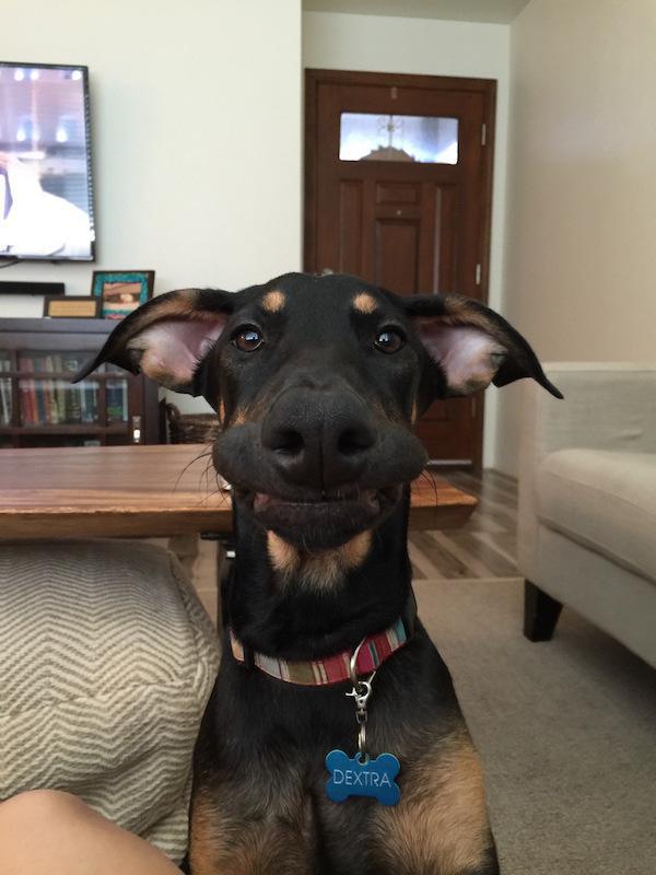 Ну у тебя и рожа ...