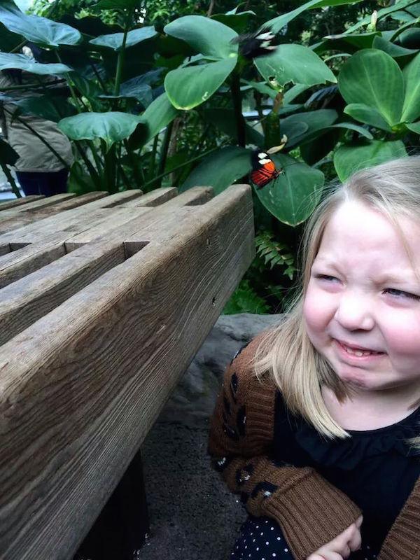 Ну у тебя и рожа ...