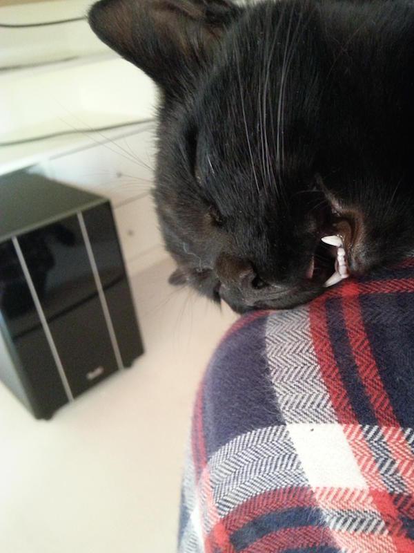 Ну у тебя и рожа ...