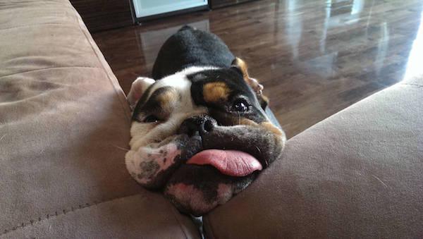 Ну у тебя и рожа ...