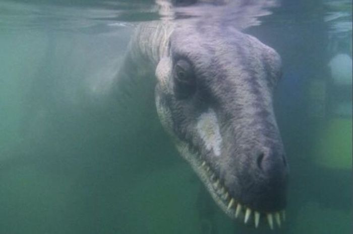 Жуткие морские фото