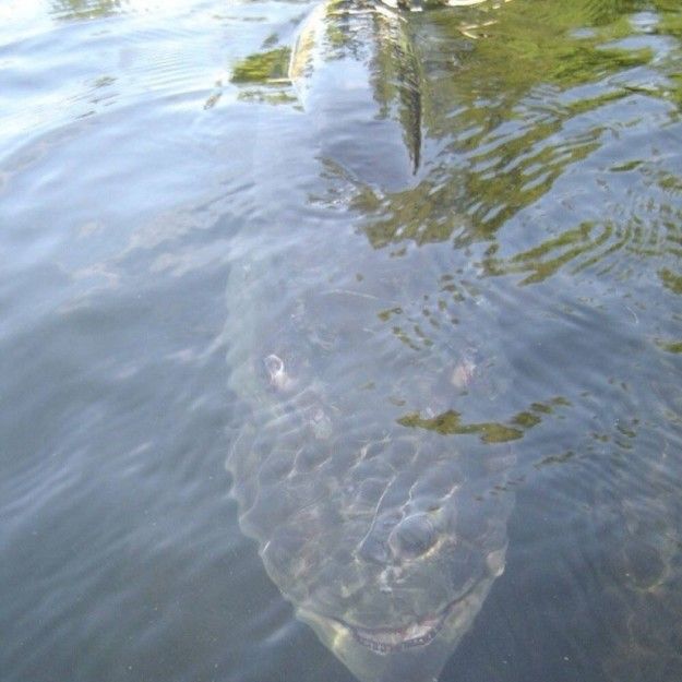 Жуткие морские фото