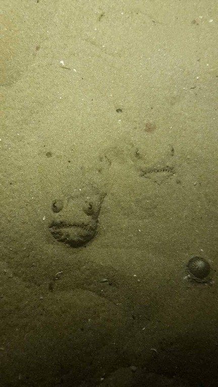 Жуткие морские фото