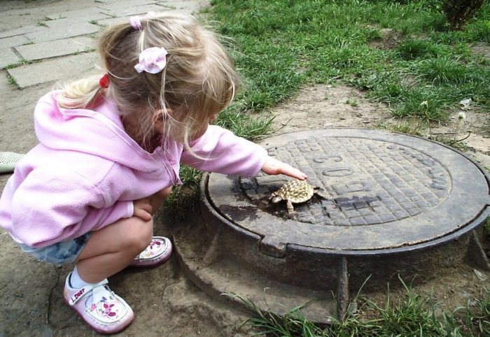 Лягушка-путешественница, Чижик-Пыжик и компания: 6 самых маленьких памятников в мире