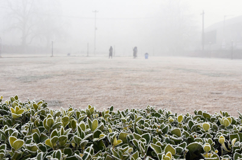 Интересные снимки из Индии