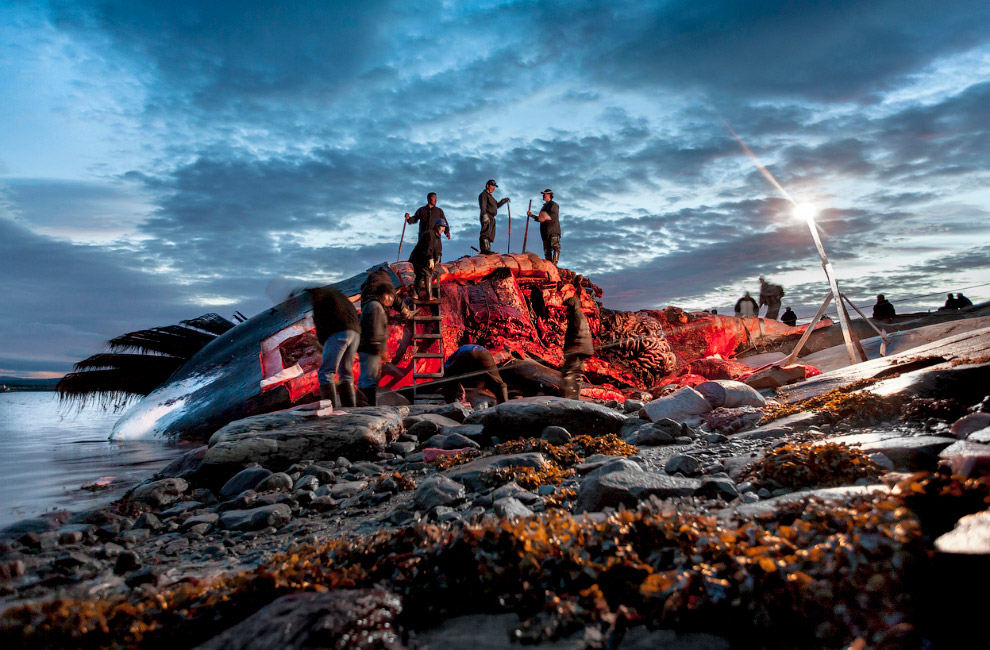 Sony World Photography Awards 2014