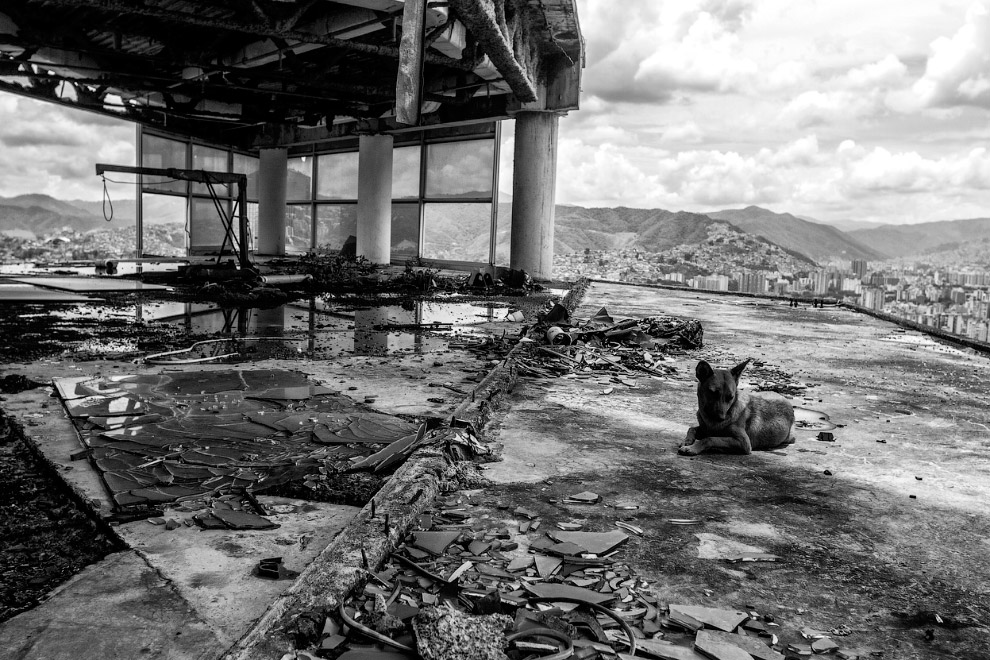 Sony World Photography Awards 2014