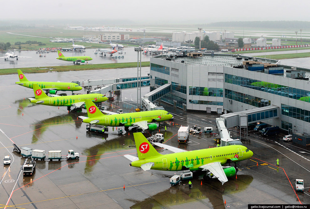 Авиакомпания S7 Airlines