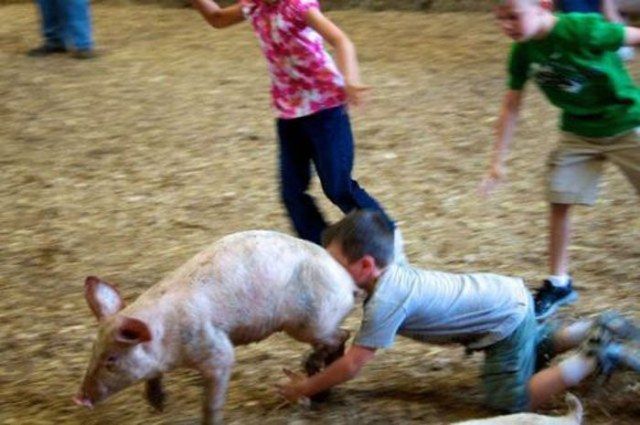 Прикольные картинки (67 фото)