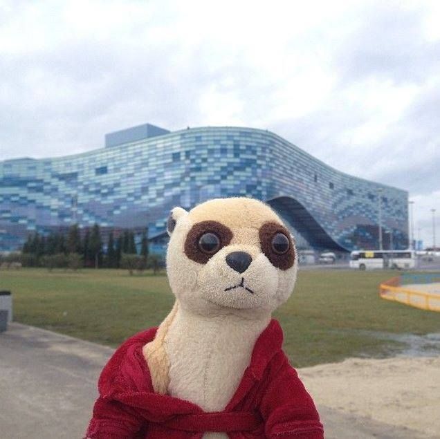 Прикольные картинки (67 фото)