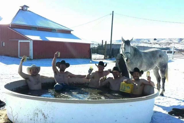 Прикольные картинки (67 фото)