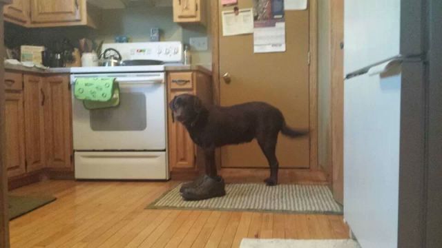 Прикольные картинки (67 фото)