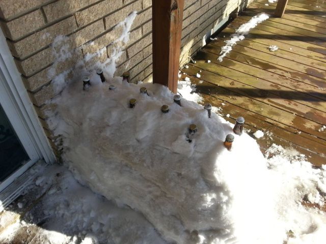 Прикольные картинки (67 фото)