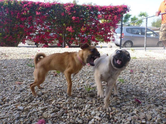 Прикольные картинки (67 фото)