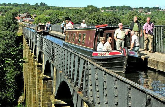 Прикольные картинки (67 фото)