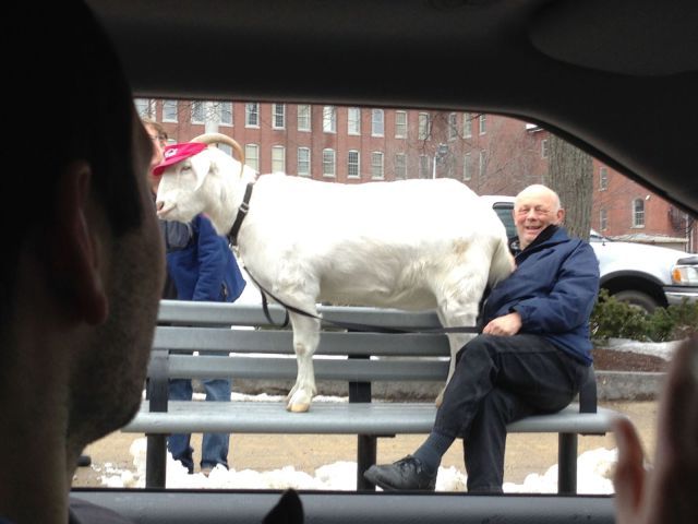 Прикольные картинки (67 фото)