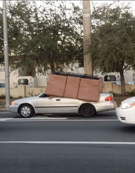 Прикольные картинки (67 фото)