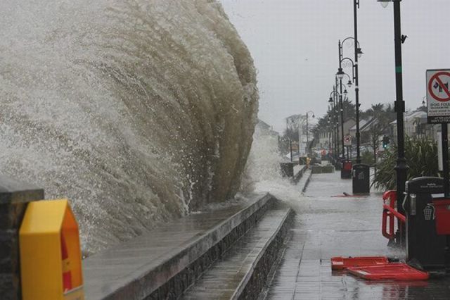 Прикольные картинки (67 фото)