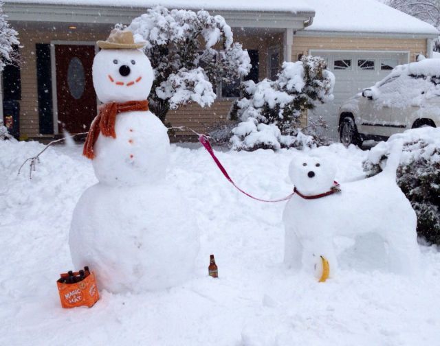 Прикольные картинки (67 фото)