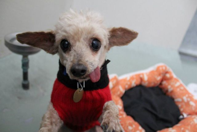 Прикольные картинки (67 фото)